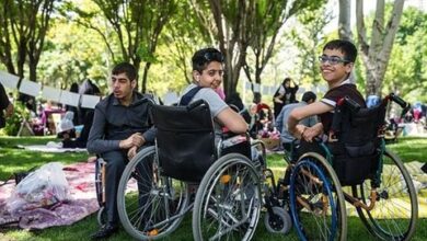 ناتوانی به 2 دسته تقسیم می شود - ایمن سازی