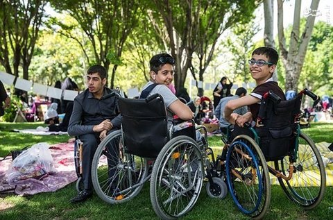 ناتوانی به 2 دسته تقسیم می شود - ایمن سازی