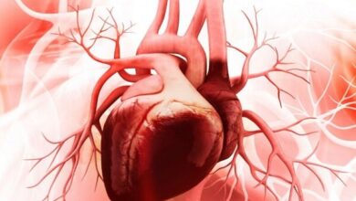 جراحی قلبی زنده در کنگره قلبی عروقی ایرانی - آژانس خبری مهر | اخبار ایرانی و جهانی