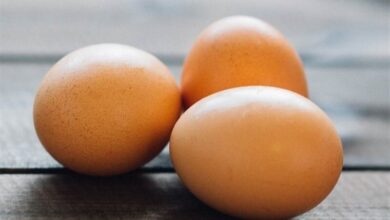 مصرف روزانه تخم مرغ ؛ خوب یا بد؟/ توضیحات مهم یک متخصص قلب و عروق