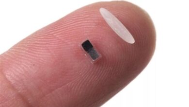 ساخت کوچکترین ضربانساز قلب جهان با ابعاد کمتر از دانه برنج