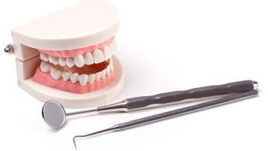 شروع پیشاهنگ ملی "دندانپزشکی سالم" به مناسبت روز دندانپزشکی - آژانس خبری مهر | اخبار ایرانی و جهانی