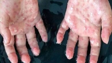 شناسایی قاشق میمون جدید IB IB IB ID - آژانس خبری Mehr | اخبار ایرانی و جهانی