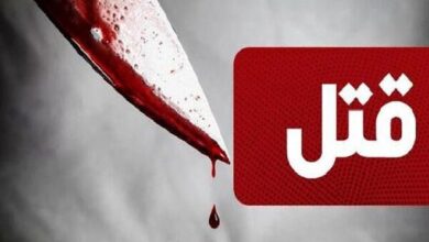 آرایشگاه آمولی دستگیر شد - آژانس خبری مهر | اخبار ایرانی و جهانی