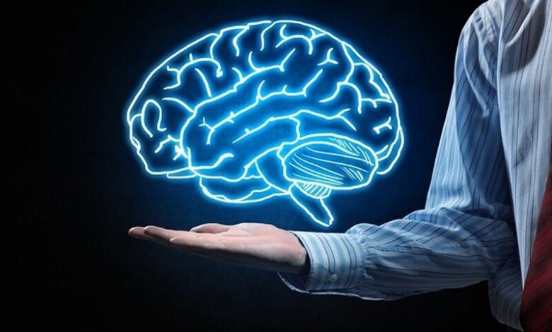 فرار از مصرف آلزایمر از این سه نوع میوه