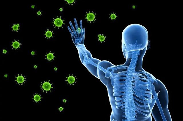 آیا بدن قوی می خواهید؟ این غذاها را مصرف کنید
