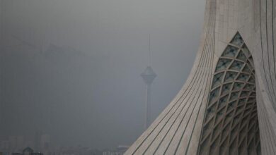 این ویتامین همچنین آلودگی هوا را از بین می برد