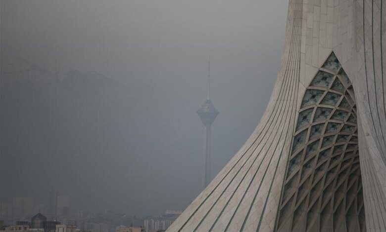 این ویتامین همچنین آلودگی هوا را از بین می برد