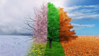 خلق و خوی ؛ دانش طبیعت برای حفظ سلامتی