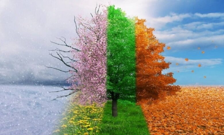 خلق و خوی ؛ دانش طبیعت برای حفظ سلامتی