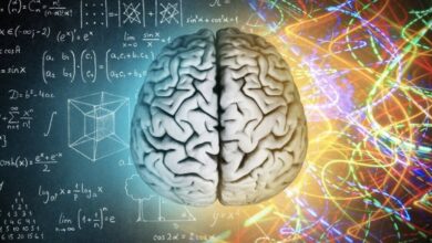 ان ایی روش حفظ عملکرد مغز