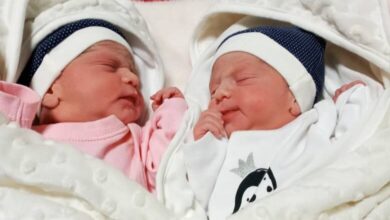 آنچه ما باید در مورد بارداری متعدد با IVF بدانیم - آژانس خبری Mehr | اخبار ایرانی و جهانی