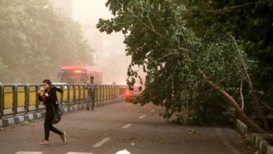 ۷ فوتی و ۶۷ مصدوم در پی طوفان و رعد و برق از ۷ تا ۱۲ اردیبهشت