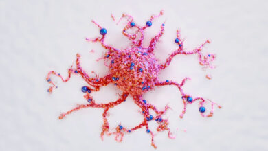 صدای امید در جراحی سرطان - آژانس خبری مهر | اخبار ایرانی و جهانی