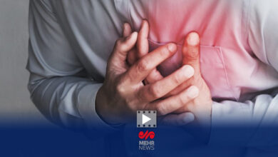 2 عامل کشنده که قلب را هدف قرار داده اند - آژانس خبری مهر | اخبار ایرانی و جهانی