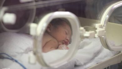 هشدار در مورد پیامدهای تحویل زودرس و تقویم - آژانس خبری مهر | اخبار ایرانی و جهانی