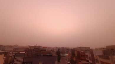 شهروندان از ترافیک غیر ضروری در فضای باز جلوگیری می کنند - آژانس خبری مهر | اخبار ایرانی و جهانی