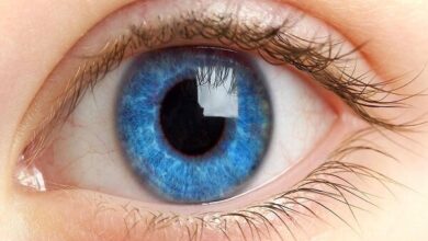 انجام جراحی مغز و اعصاب موفق قرنیه در یک روز - آژانس خبری مهر | اخبار ایرانی و جهانی