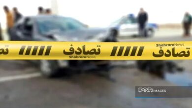 5 ٪ از قربانیان این حادثه کمتر از 5 سال سن دارند