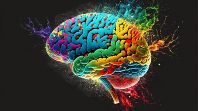 رنگ لباس چگونه بر رفتار ما وجود دارد؟