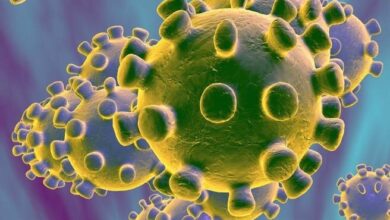 افزایش پرونده های کرونا در استان