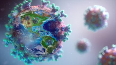 آیا 5 ٪ افزایش در تاج در کشور/ سویه های جدید وجود دارد؟