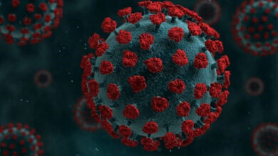 کرونا در کمین است - خبرگزاری سلامت