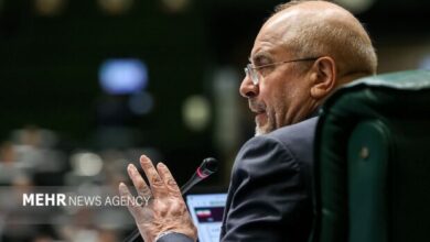 چه کسی به فرش بافندگی اطلاعات اشتباه + فیلم داده است - آژانس خبری مهر | اخبار ایرانی و جهانی