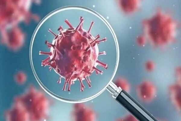 افزایش تاج در بوشر افزایش یافته است. نیاز به اجرای دستورالعمل های بهداشتی