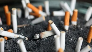 نقض آشکار طعم دود در بزرگترین رویداد فرهنگی کشور - آژانس خبری مهر | اخبار ایرانی و جهانی