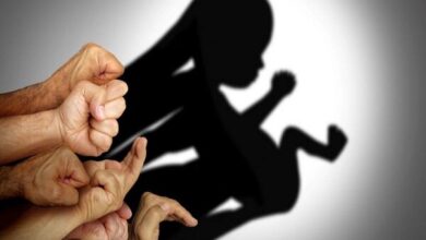 "خود" جان 6000 جنین را نجات داد - آژانس خبری مهر | اخبار ایرانی و جهانی