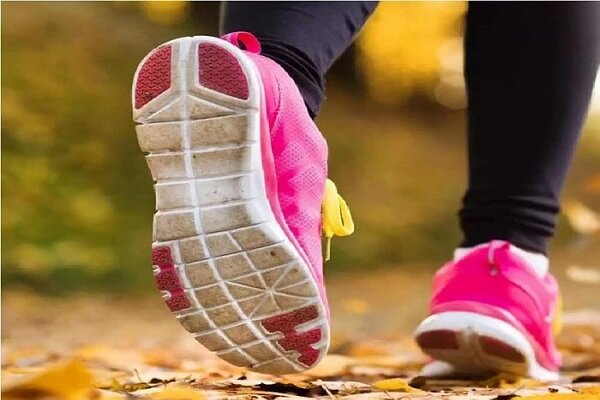چگونه از پیرتر شدن مغز ما جلوگیری کنیم؟ - آژانس خبری مهر ایرانی و اخبار جهانی