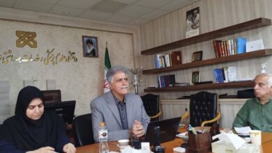 بحران پیری در کمین شهروود و میامی ؛ نرخ باروری به 0.5 کاهش یافت - آژانس خبری مهر | اخبار ایرانی و جهانی