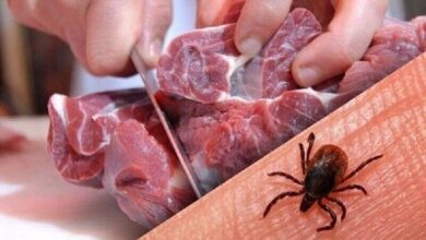 درگذشت یک بیمار مبتلا به تب خونریزی کنگو کریمه در این شهر