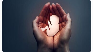 Self -Scanning ، تلاش برای اطلاع رسانی و کاهش سقط جنین - آژانس خبری Mehr | اخبار ایرانی و جهانی