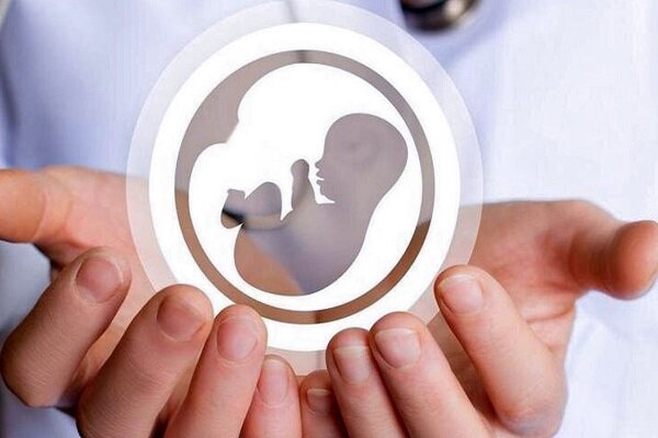 هشدار ایلان مس در مورد کاهش کودک گرایی - آژانس خبری مهر | اخبار ایرانی و جهانی