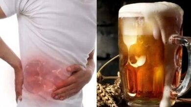 Mal -shair برای بیماران کلیه مناسب نیست - آژانس خبری مهر | اخبار ایرانی و جهانی