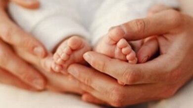 جزئیات برنامه های هفته جمعیت اعلام شده - آژانس خبری مهر | اخبار ایرانی و جهانی