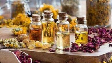 نکاتی برای کاهش متانول در شیرینی های گیاهی - آژانس خبری مهر | اخبار ایرانی و جهانی