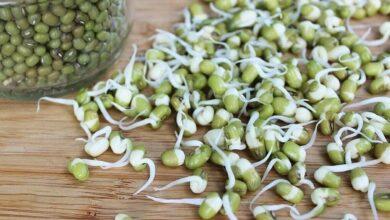 با بمب های ویتامین و پروتئین آشنا شوید