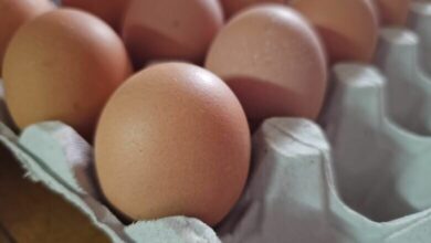 اعتقاد به مصرف مفید تخم مرغ خام یا نیمی از کوک اشتباه است