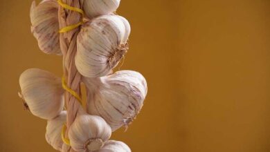 ضد انعقادی قوی در آشپزخانه شما!