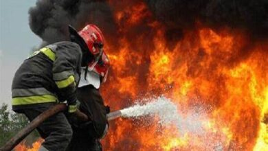 آتش سوزی در پایتخت بدون مصدومیت بود - آژانس خبری مهر | اخبار ایرانی و جهانی