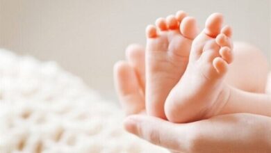 پشتیبانی از زوج های غیر بیمه بیمه - آژانس خبری مهر | اخبار ایرانی و جهانی