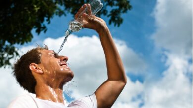 چگونه می توان مشکلات متداول تابستان را برطرف کرد؟