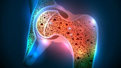 عملکرد حیاتی مغز استخوان تحت تأثیر عوامل مختلف