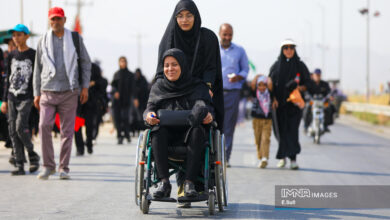 تأکید بر وزرای بهداشت ایران و عراق بر همکاری در نگه داشتن اربین و کنترل بیماری های مسری