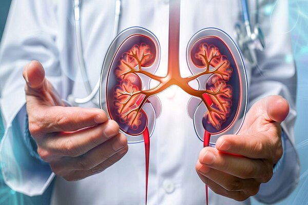 تشخیص بیماری کلیوی از طریق ماسک تنفسی - آژانس خبری مهر | اخبار ایرانی و جهانی