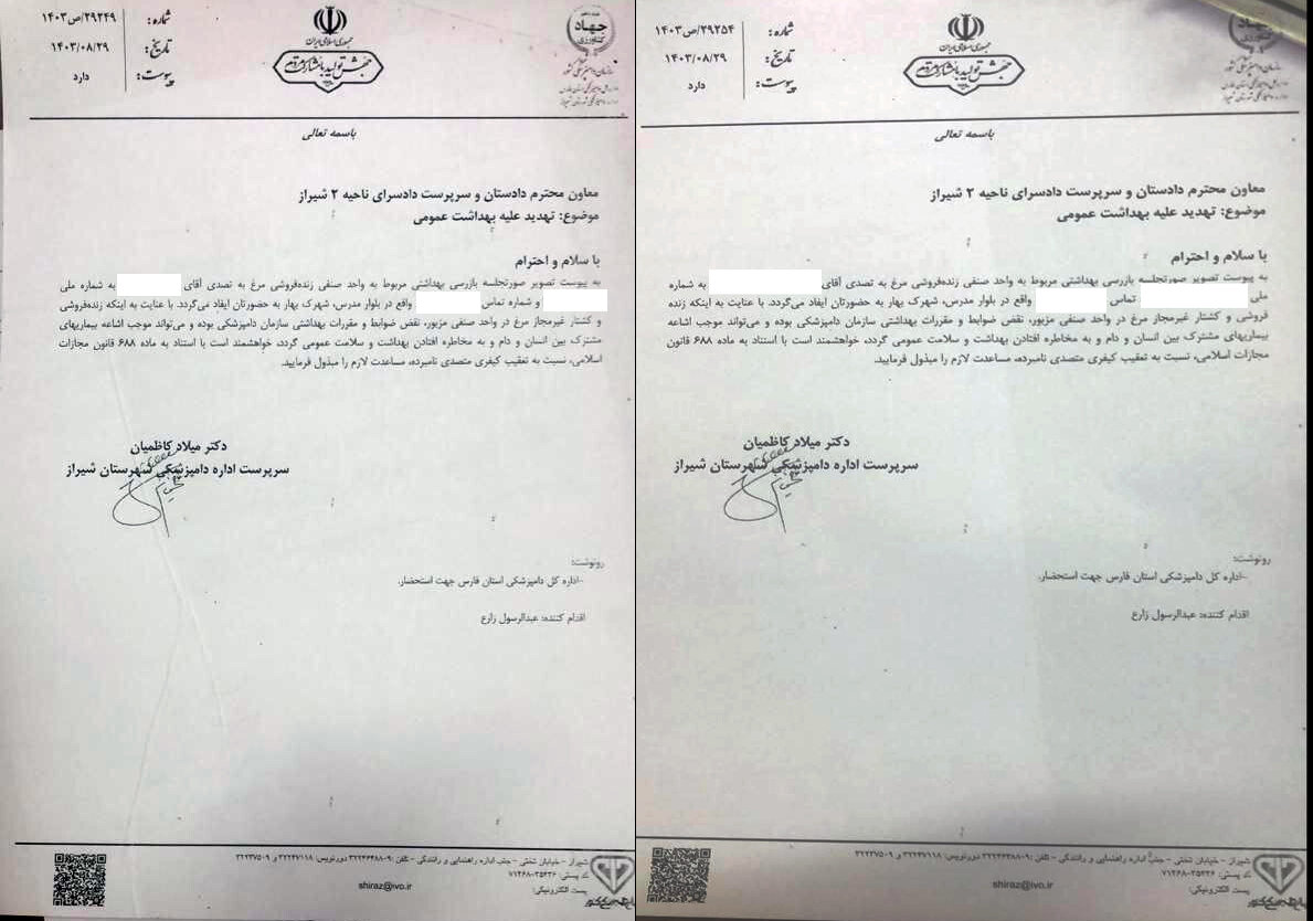 عرضه غیرمجاز طیور زنده در شیراز و بی تفاوتی مقامات