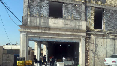 عرضه غیرمجاز طیور زنده در شیراز و بی تفاوتی مقامات